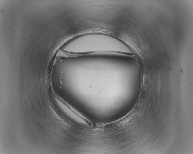 X0000067950156200604201440