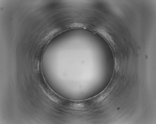 X0000067950157200604201440