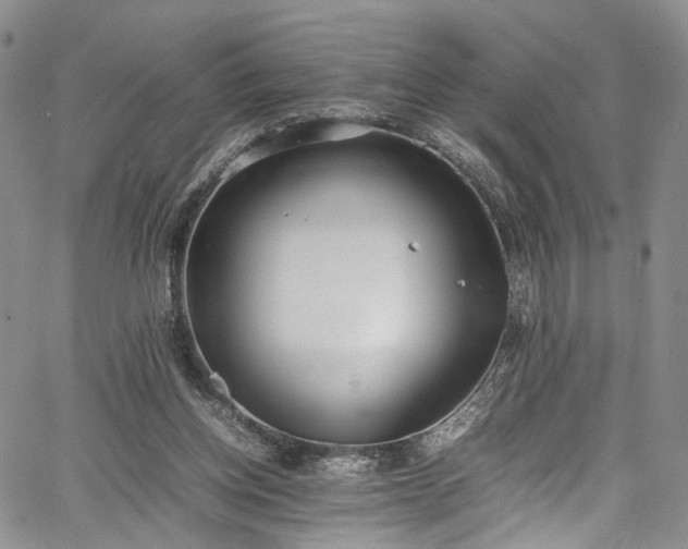 X0000067950158200604201440