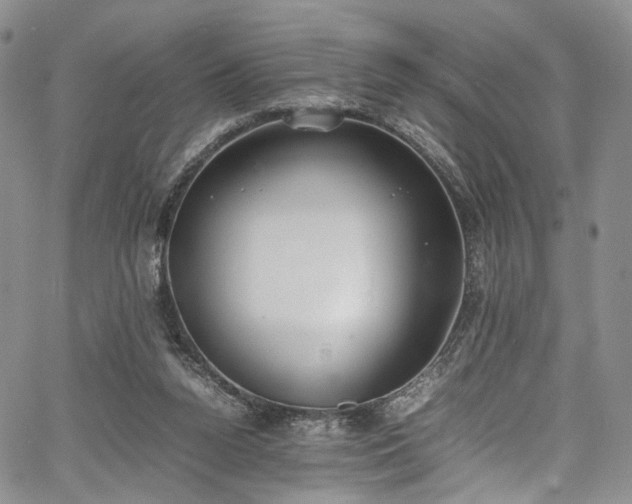 X0000067950160200604201440