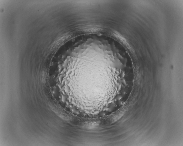 X0000067950161200604201440