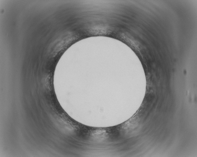 X0000067950162200604201440