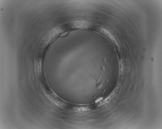 X0000067950163200604201440