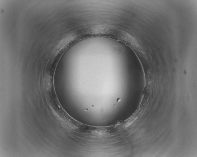 X0000067950164200604201440