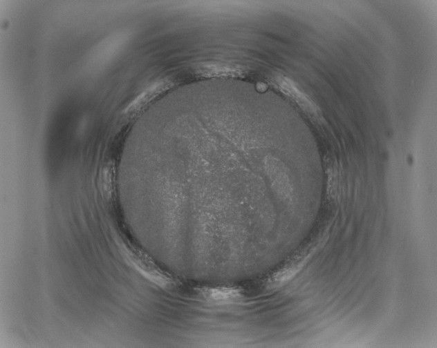 X0000067950165200604201440