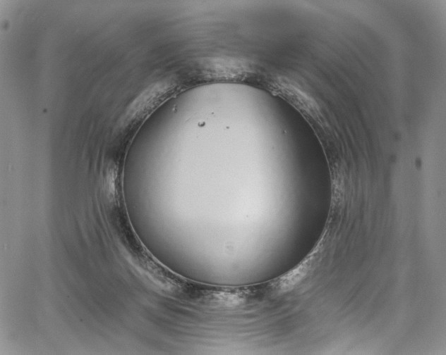 X0000067950166200604201440