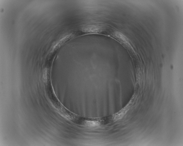 X0000067950167200604201440