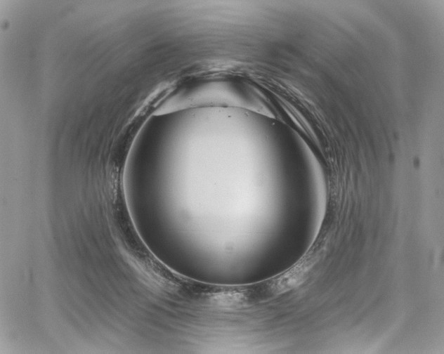 X0000067950168200604201440