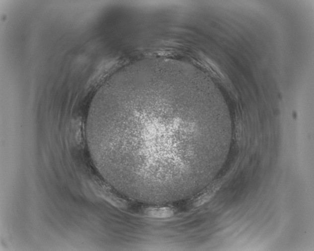 X0000067950169200604201440