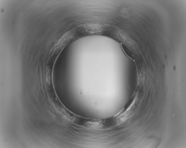 X0000067950170200604201440