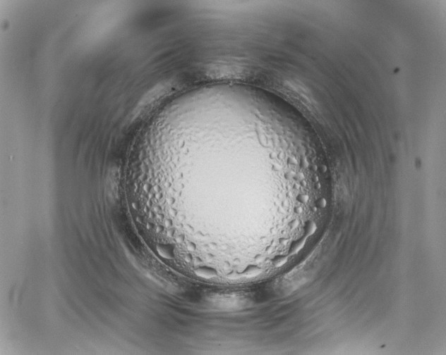 X0000067950171200604201440