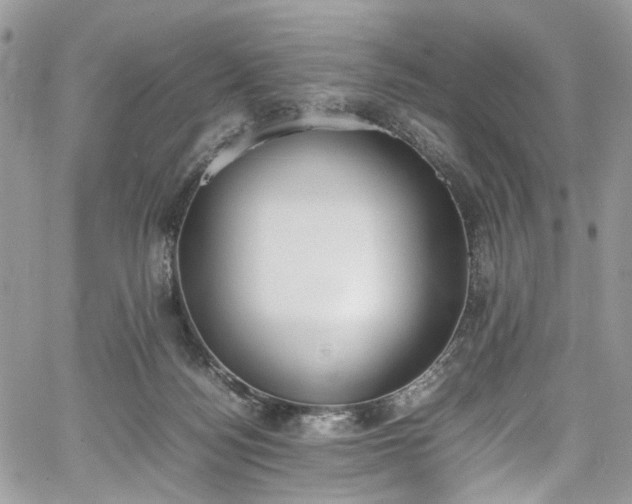 X0000067950172200604201440