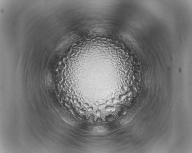 X0000067950173200604201440