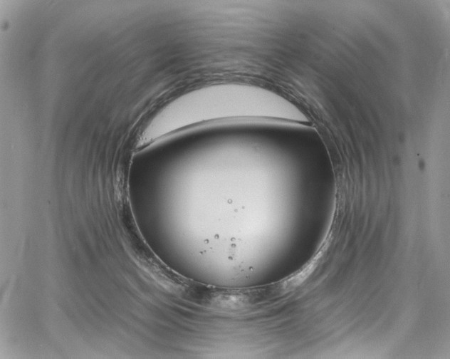 X0000067950174200604201440