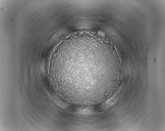 X0000067950175200604201440