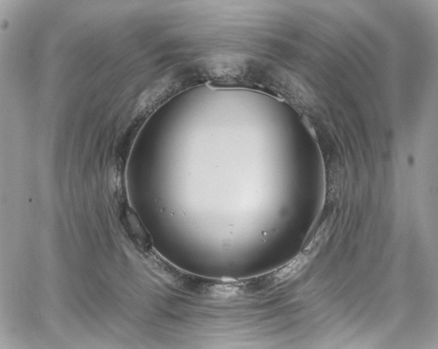 X0000067950176200604201440