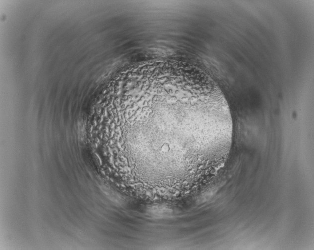 X0000067950177200604201440