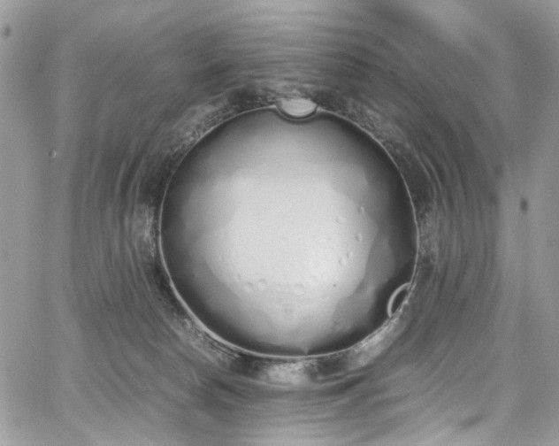 X0000067950178200604201440