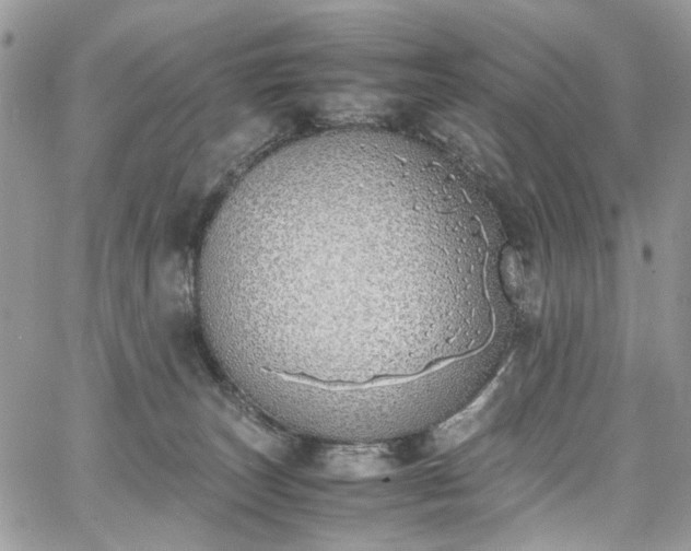 X0000067950179200604201440