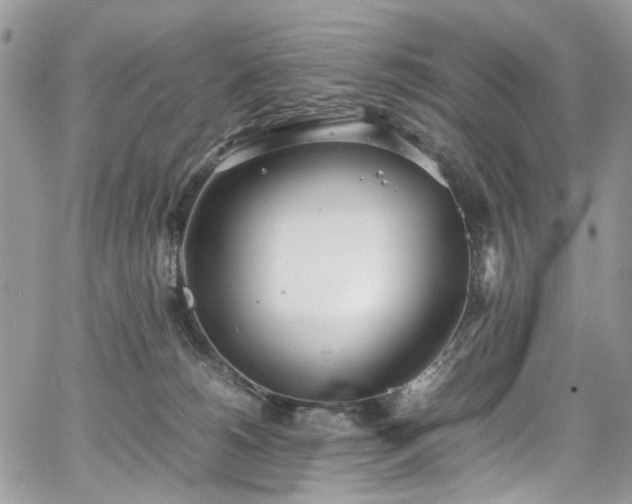 X0000067950180200604201440