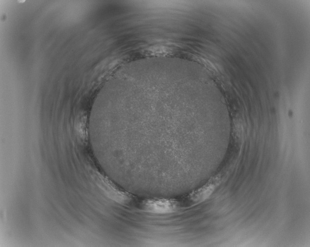 X0000067950181200604201440