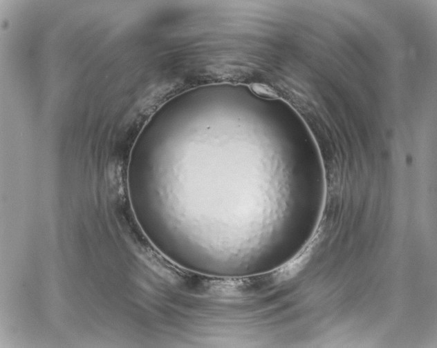 X0000067950182200604201440