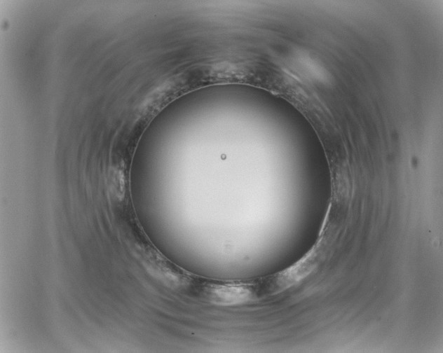 X0000067950183200604201440