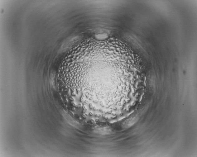 X0000067950185200604201440