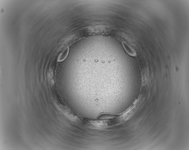 X0000067950187200604201440