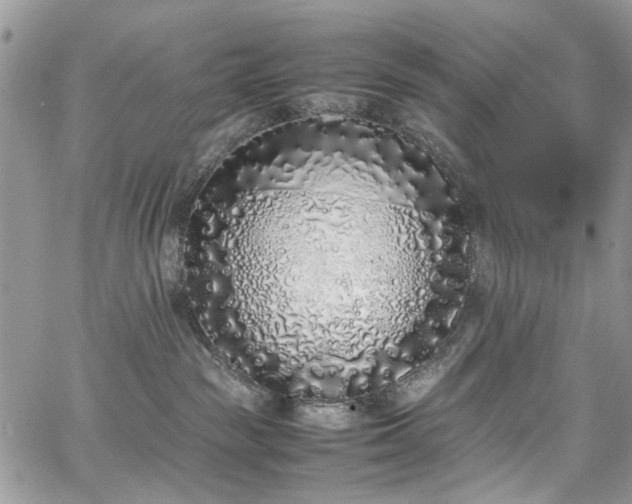 X0000067950189200604201440