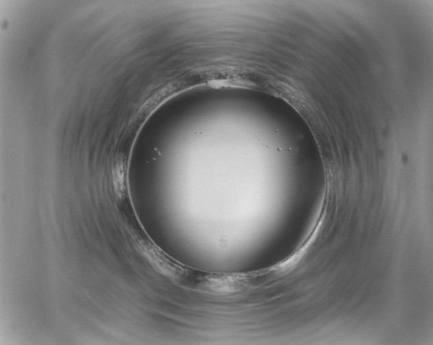 X0000067950190200604201440