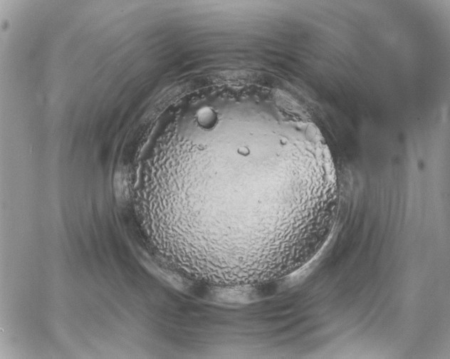 X0000067950191200604201440