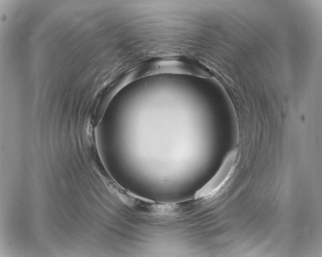 X0000067950192200604201440