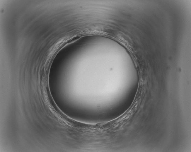 X0000067950193200604201440