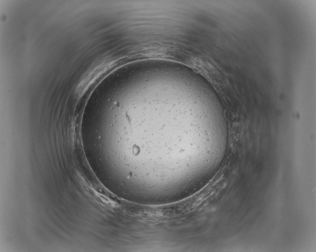 X0000067950194200604201440