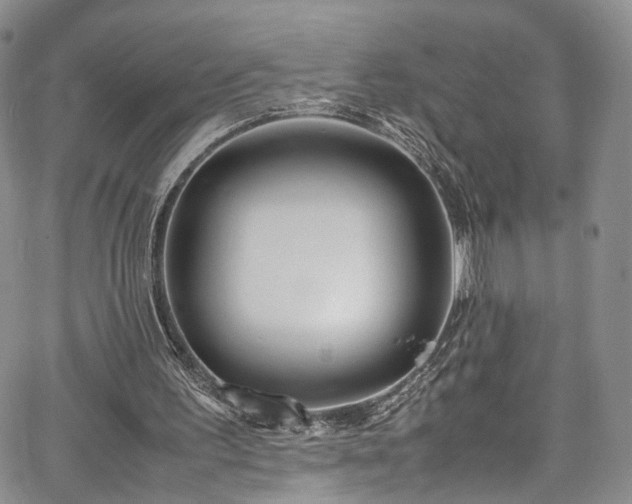 X0000067950195200604201440