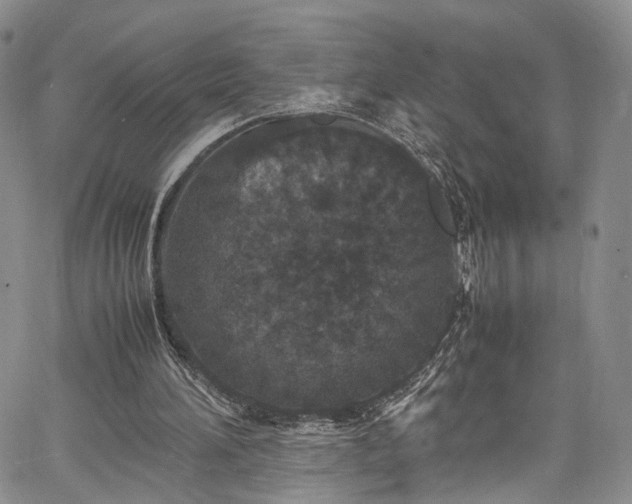 X0000067950196200604201440