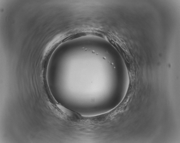 X0000067950197200604201440