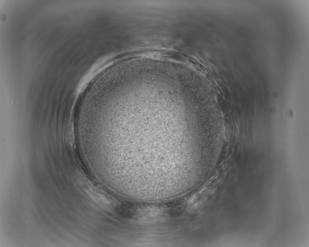 X0000067950198200604201440