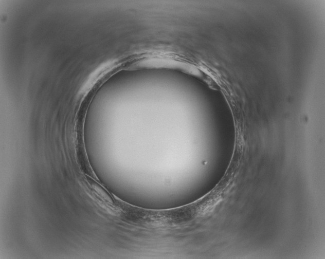 X0000067950199200604201440