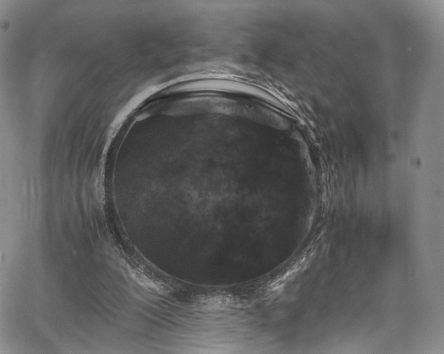 X0000067950200200604201440