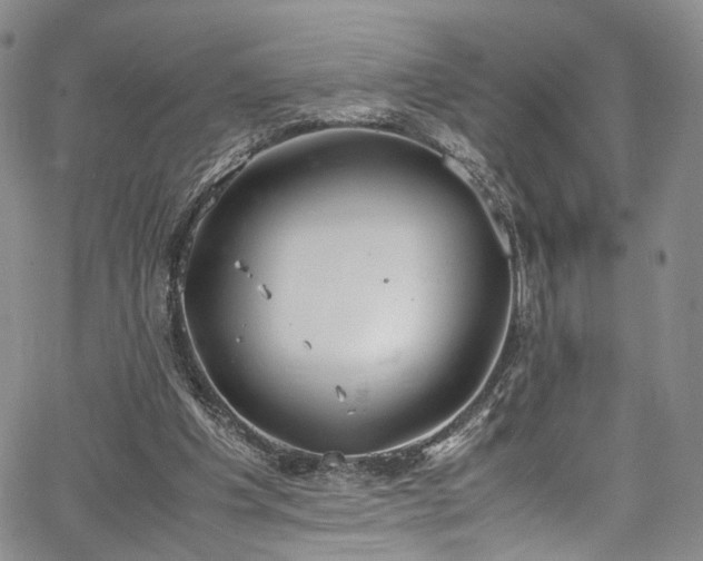 X0000067950201200604201440