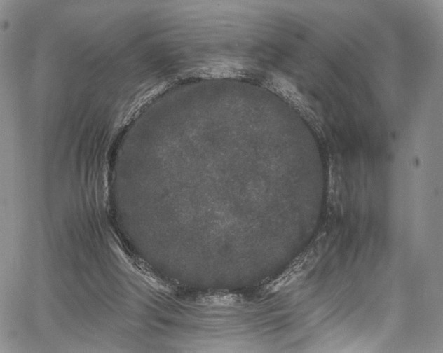 X0000067950202200604201440