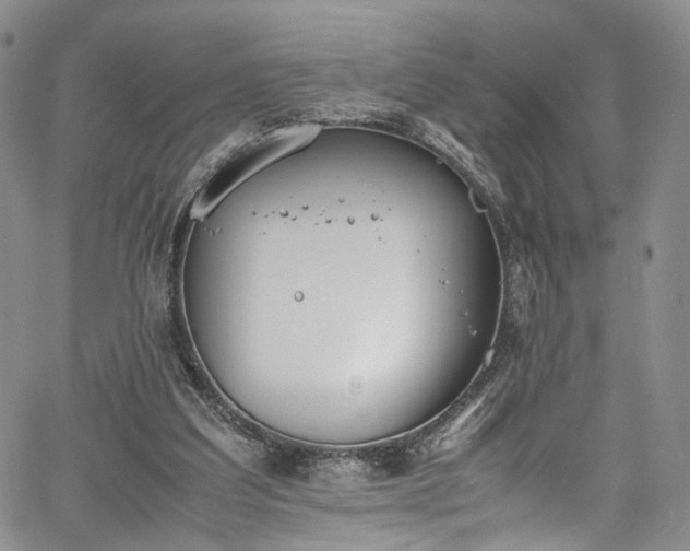 X0000067950203200604201440