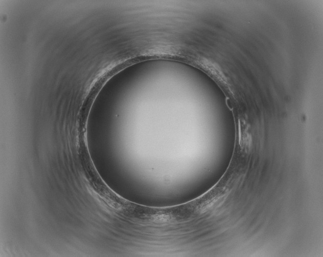 X0000067950204200604201440