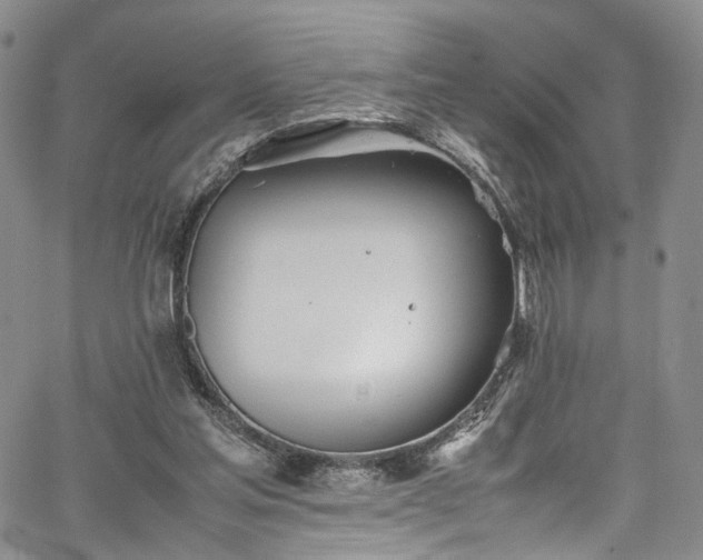 X0000067950205200604201439