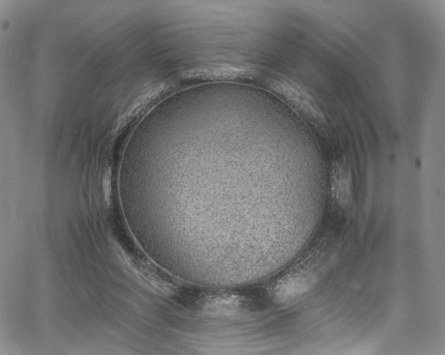 X0000067950206200604201439