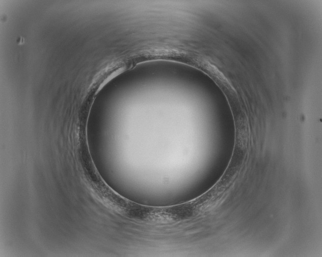 X0000067950207200604201439