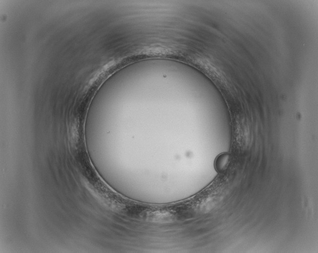 X0000067950208200604201439