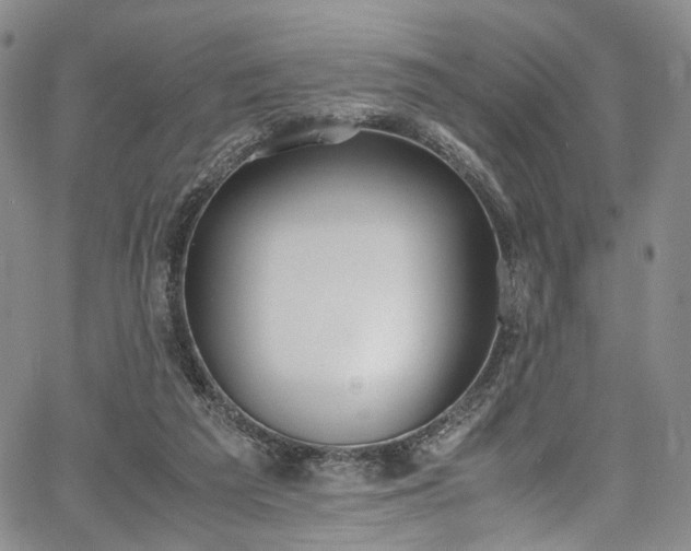 X0000067950209200604201439